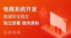 搭建國(guó)際電商系統(tǒng)需要注意什么