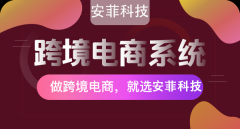 跨境電商系統(tǒng)開發(fā)軟件價(jià)格多少
